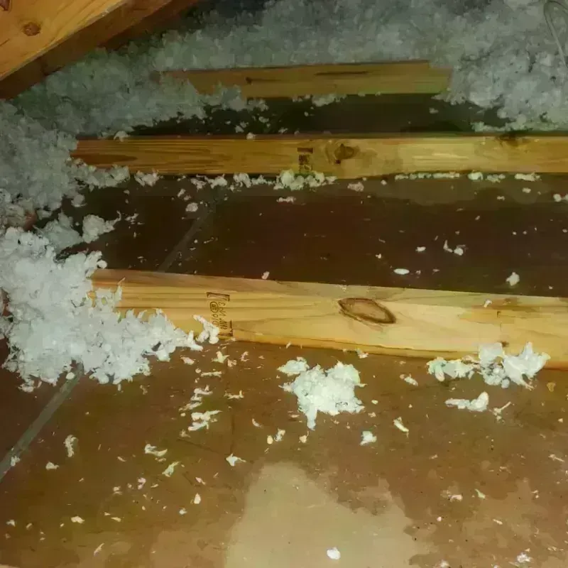 Attic Water Damage in Gold Beach, OR