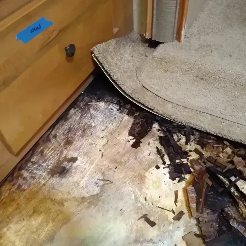 Wood Floor Water Damage in Gold Beach, OR